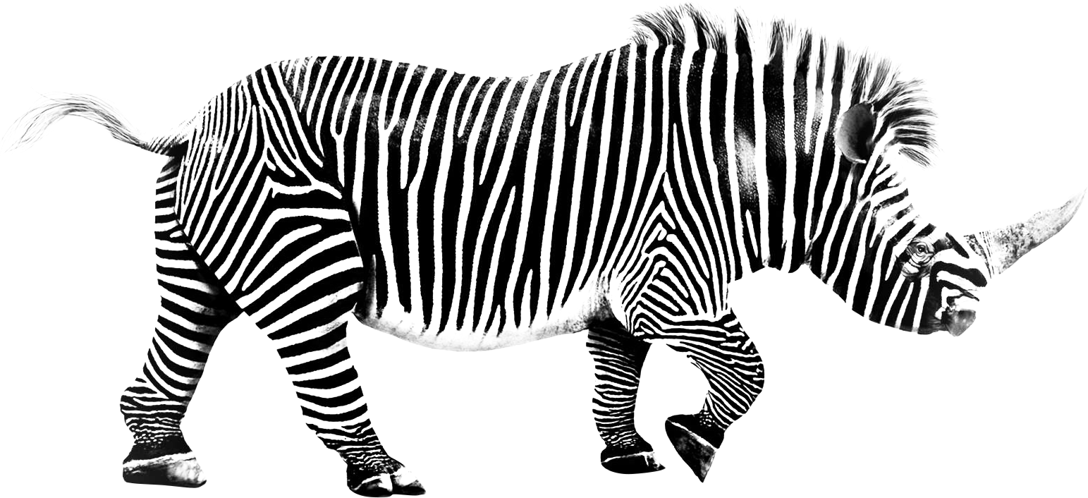 Rhino-zebre d'ALTAprod, Agence Web, création de site internet, et Communication globale à Aurillac dans le Cantal