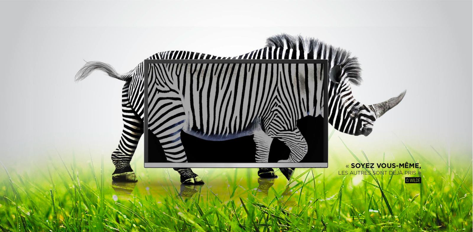 ALTAprod, Agence Web et de Communication globale à Aurillac dans le Cantal est spécialiste de la création ou refonte de votre site internet, création de contenu et gestion de vos réseaux sociaux.