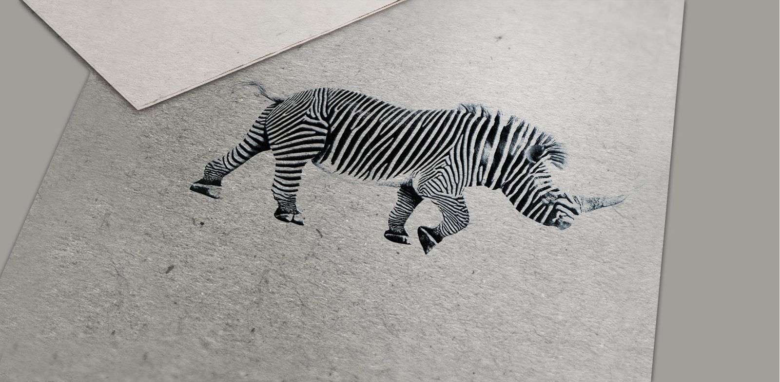 ALTAprod, Agence Web et de Communication globale à Aurillac dans le Cantal assure la conception de support papiers, brochures, création de logos, impression de vos documents.